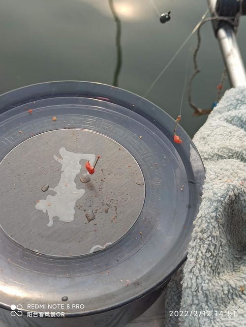 为什么迷你拉饵盒是垂钓爱好者的首选渔具